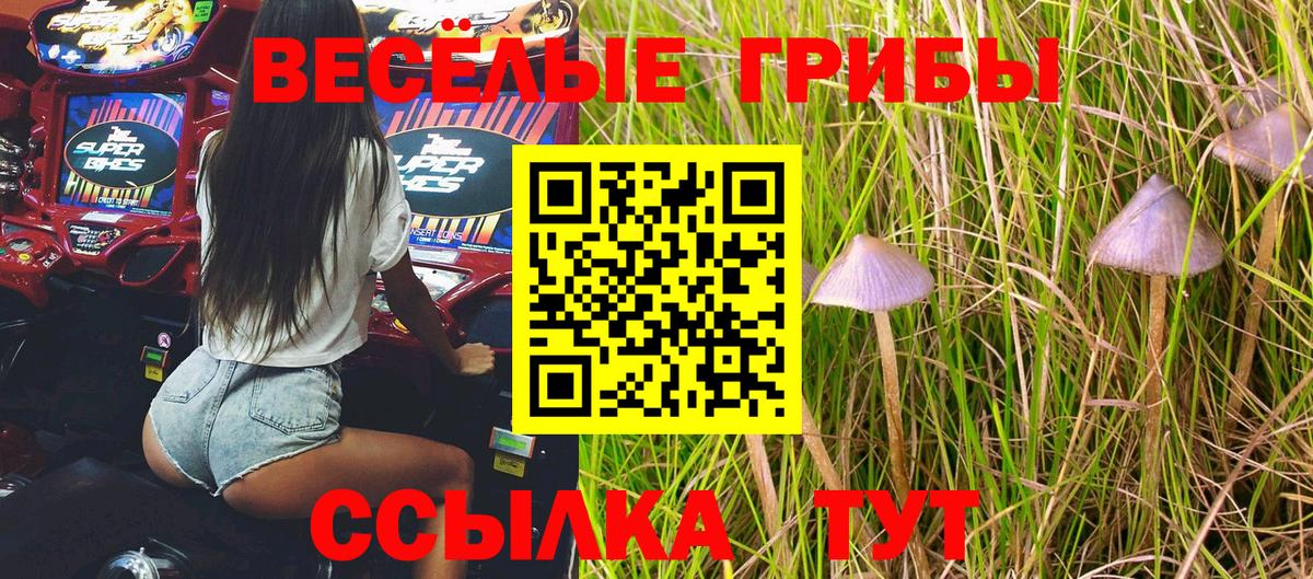 Псилоцибиновые грибы прущие грибы  Галлюциногенные грибы MAGIC MUSHROOMS  Вход с VPN  Сатка 